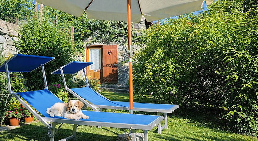 Le Rosier B&B e Appartamento