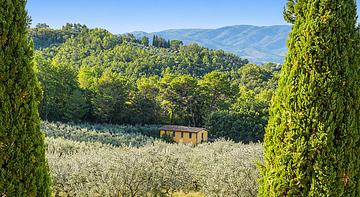 Agriturismo I Getsemani