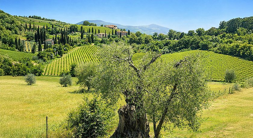 Grand Hotel Impero Spa & Resort