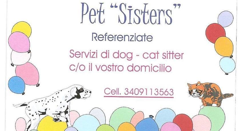 Pet sitter 