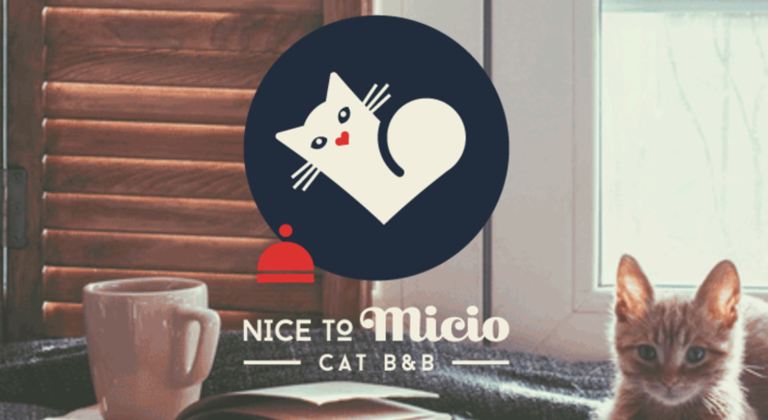 Nice to Micio Cat B&B