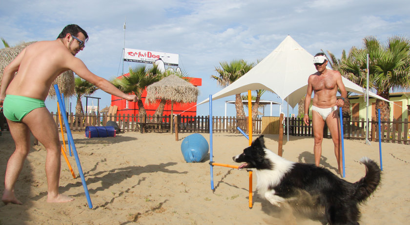 Rimini Dog No Problem - Bagno 81