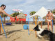 Rimini Dog No Problem - Bagno 81