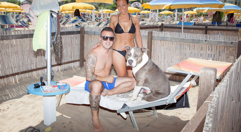 Rimini Dog No Problem - Bagno 81
