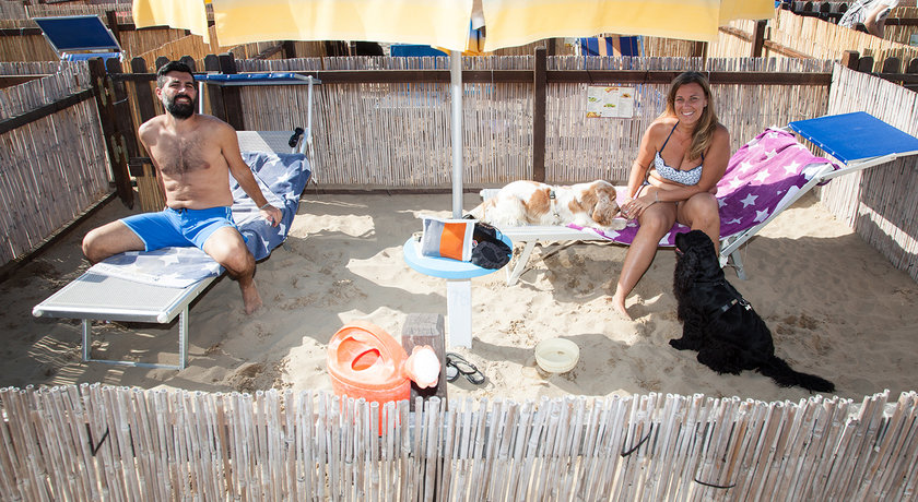 Rimini Dog No Problem - Bagno 81