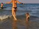 Rimini Dog No Problem - Bagno 81