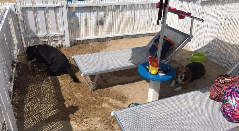 Rimini Dog No Problem - Bagno 81