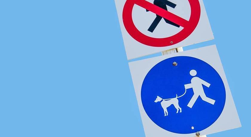 Rimini Dog No Problem - Bagno 81