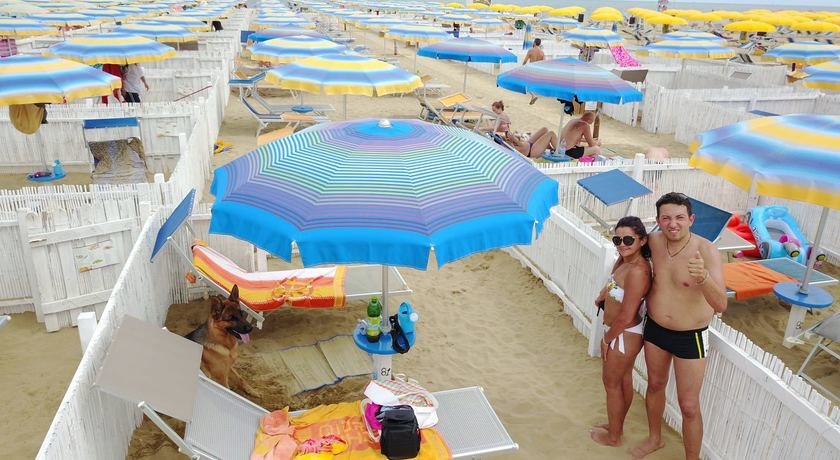 Rimini Dog No Problem - Bagno 81