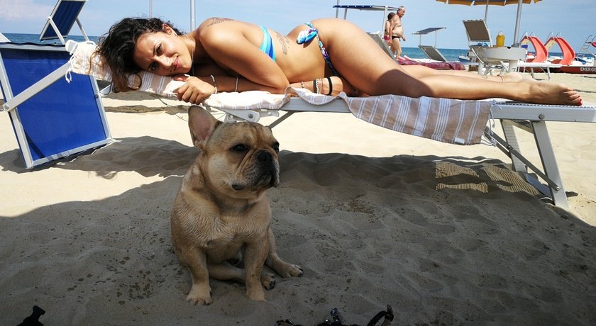Rimini Dog No Problem - Bagno 81