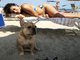 Rimini Dog No Problem - Bagno 81