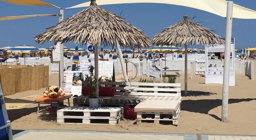 Rimini Dog No Problem - Bagno 81