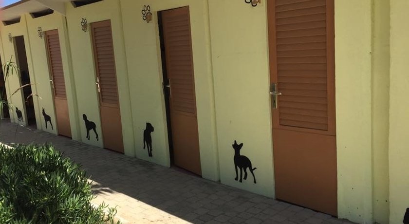 Rimini Dog No Problem - Bagno 81