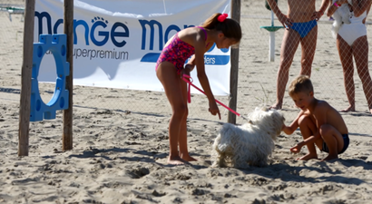 Struttura Maremoto Beach for my Dog 