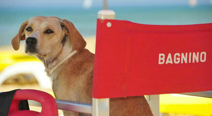 Dog Beach San Vincenzo