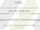 IL GABBIANO