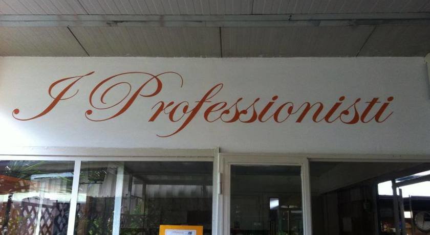 I Professionisti