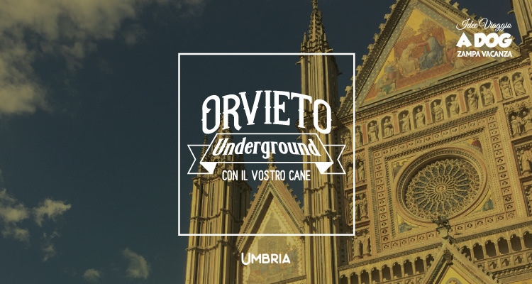 Orvieto Underground con il vostro cane