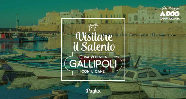 Visitare il Salento con il cane – cosa vedere a Gallipoli