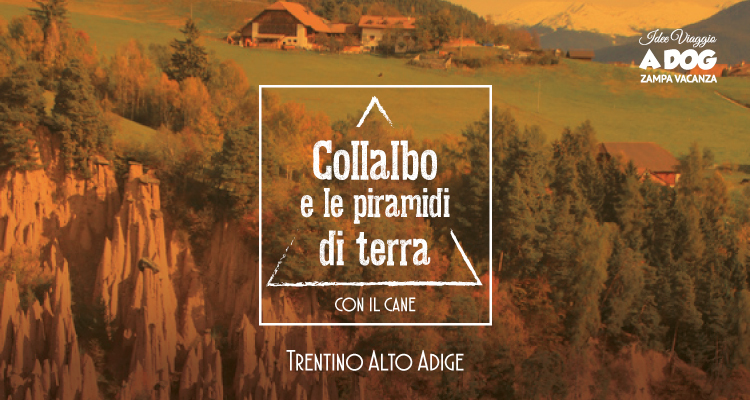 Collalbo e le piramidi di terra con il cane