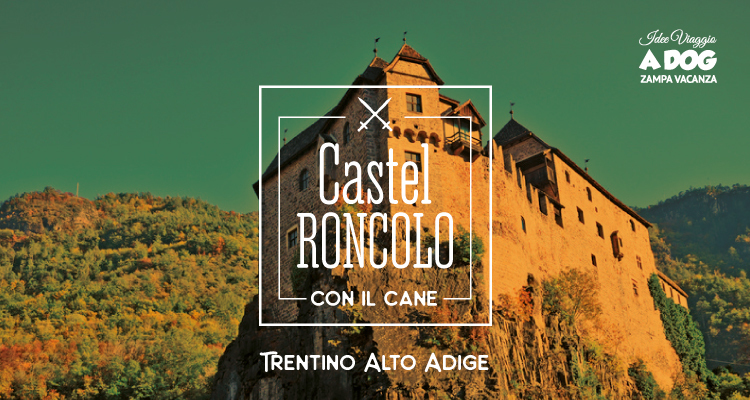 Castel Roncolo con il cane