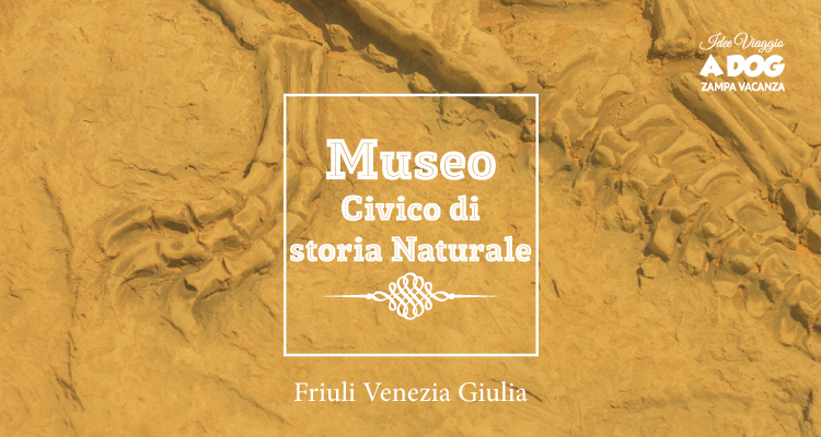 Museo Civico di Storia Naturale con il cane