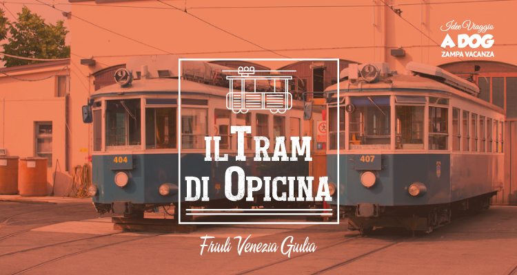 Il Tram di Opicina con il cane