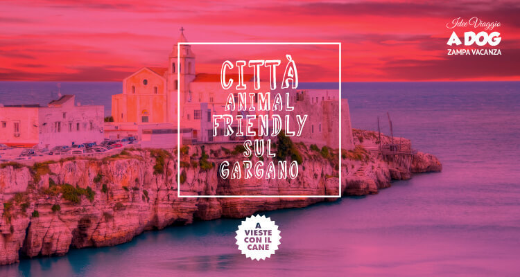 Città animal friendly sul Gargano - visitare Vieste con il cane 