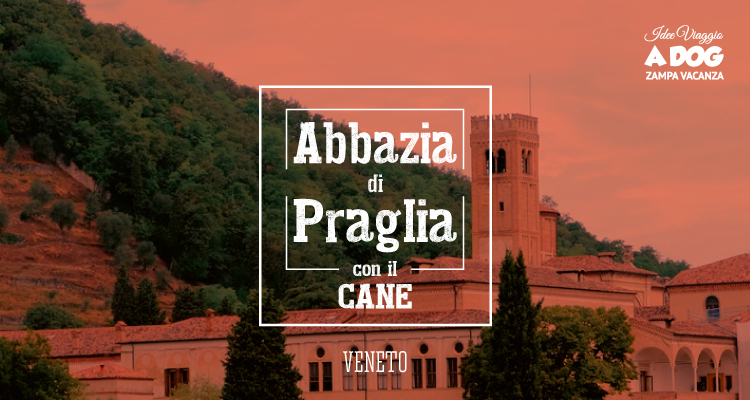 Abbazia di Praglia con il cane