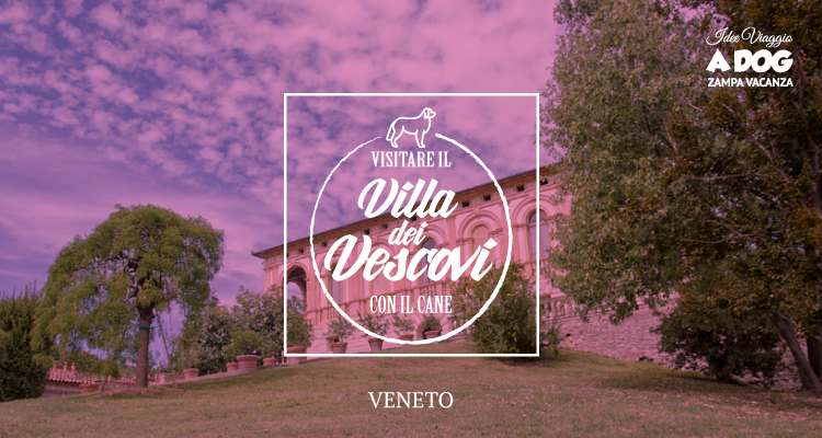 Villa Dei Vescovi con il cane