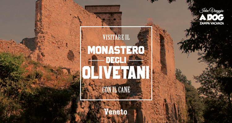 Monastero degli Olivetani con il cane