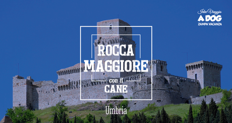 Rocca Maggiore di Assisi con il cane