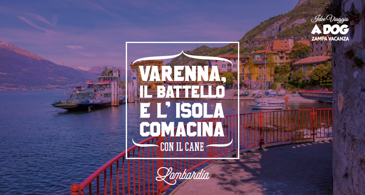 Visitare Varenna, il battello e l'isola Comacina con il cane
