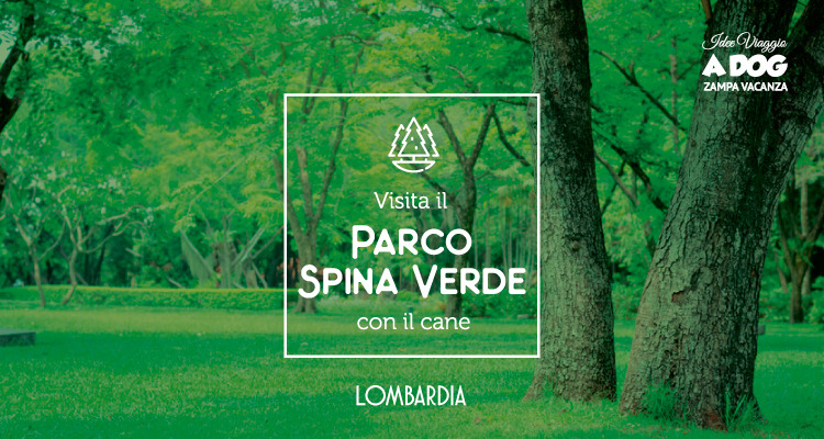 Parco Spina Verde con il cane