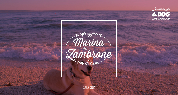 In spiaggia con il cane a Marina di Zambrone