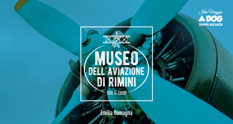 Museo dell’Aviazione di Rimini con il cane