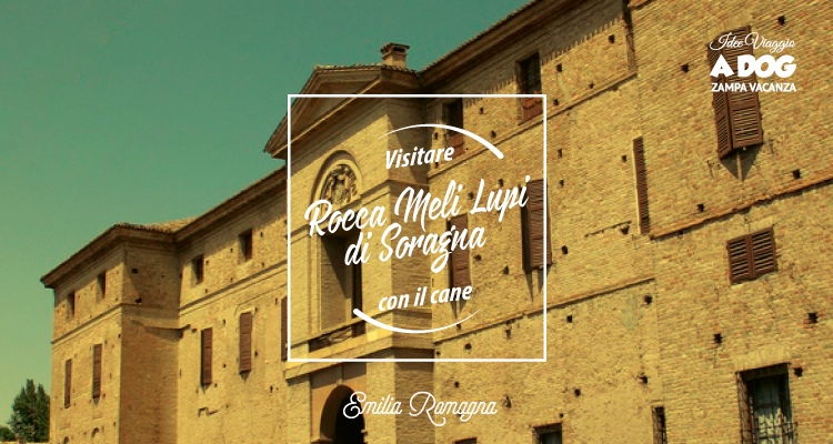 Rocca Meli Lupi di Soragna con Il cane