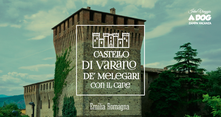 Castello di Varano de' Melegari con il cane