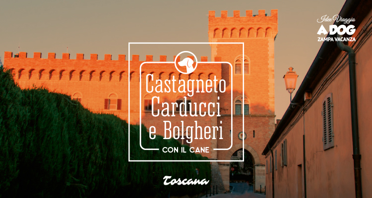 Castagneto Carducci e Bolgheri con il cane