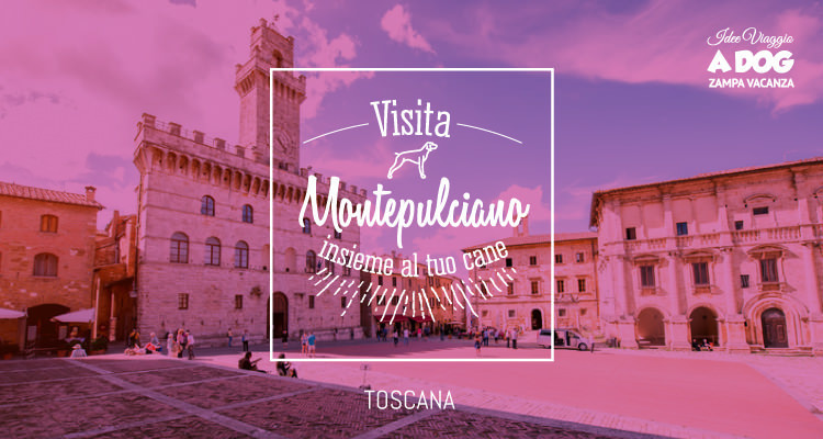 Visita Montepulciano con il cane