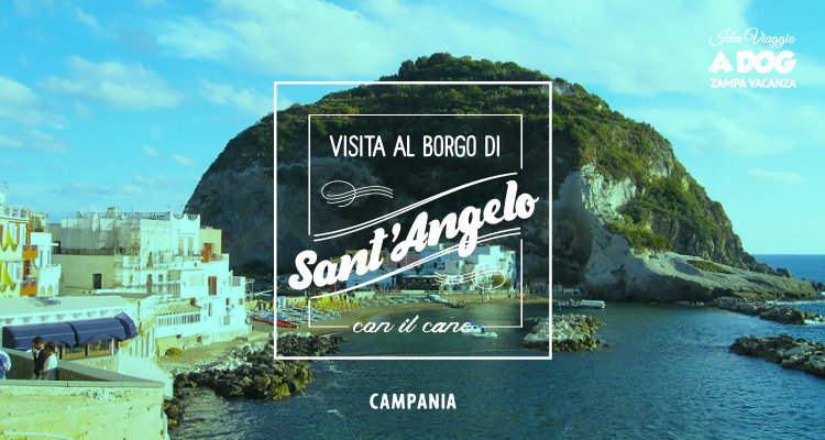 Visita al Borgo di Sant'Angelo di Ischia con il cane