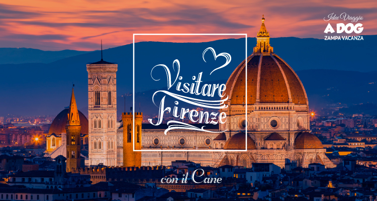 Visitare Firenze con il cane - Cosa fare e come muoversi