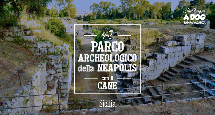 Parco Archeologico della Neapolis con il cane