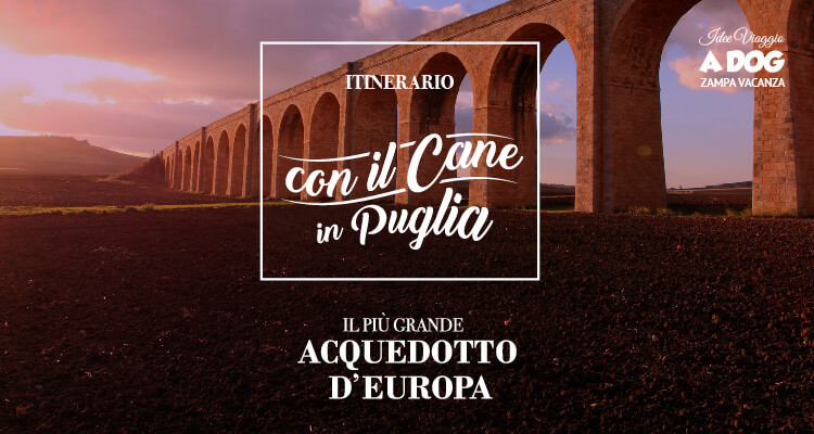 Itinerario con il cane in Puglia - il più grande acquedotto d’europa