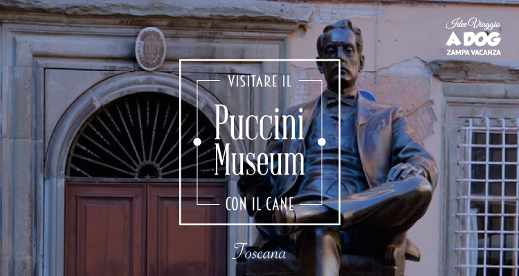 Puccini Museum con il cane