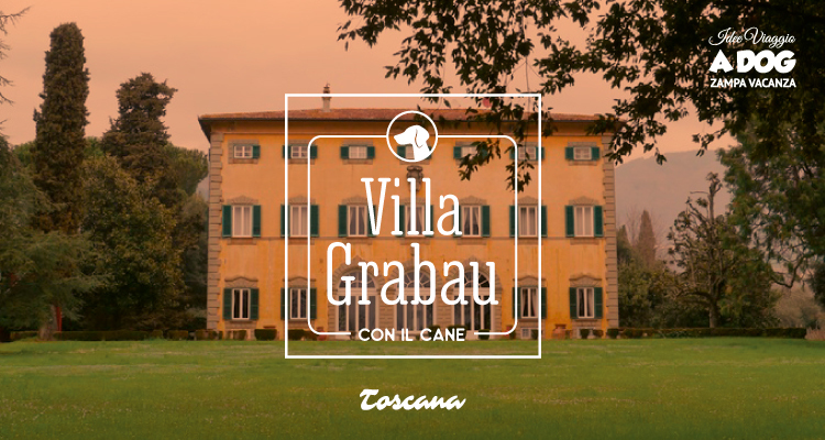 Villa Grabau con il cane
