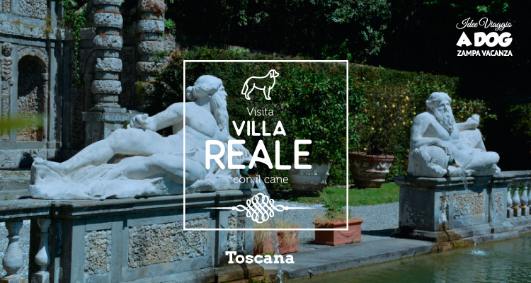 Villa Reale con il cane