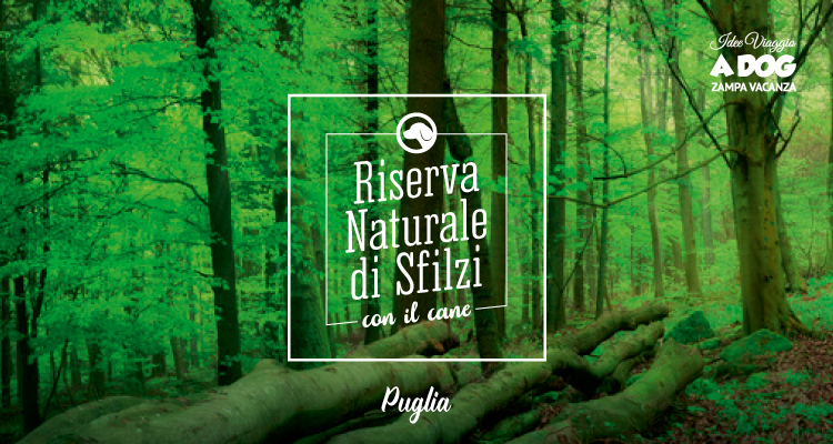 Riserva Naturale di Sfilzi con il cane