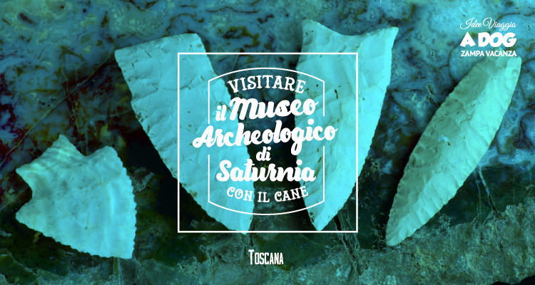 Visitare il Museo Archeologico di Saturnia con il cane