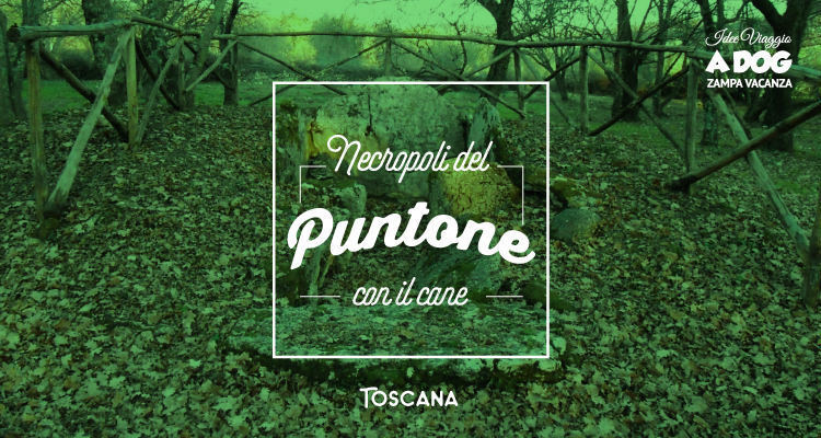 Necropoli  del Puntone con il cane